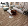 PORCELLANATO TABLAS LAPACHO 21x122 C2.02m2 precio por metro