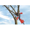 SERRUCHO DE PODA RAMAS ALTAS  EXTENSIBLE 3 mts  -TRAMONTINA-